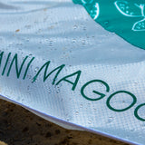 Little Lagoon - Turtles