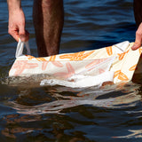 Little Lagoon - Starfish